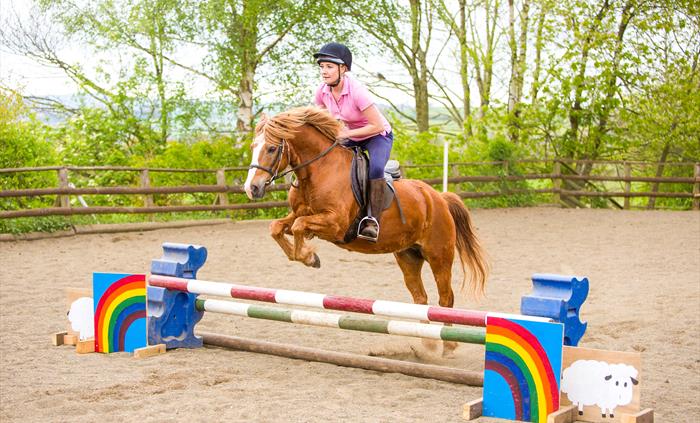 Horse Riding Lessons